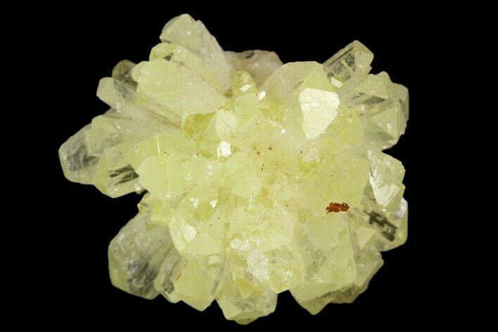 Yellow-Green Adamite Crystal Cluster - Durango, Mexico #127031